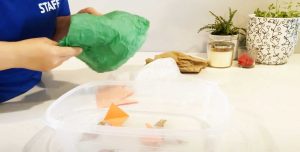 Cutting Activity