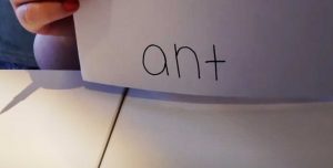 Word Writing
